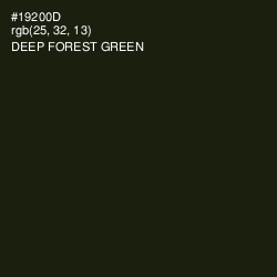 #19200D - Deep Forest Green Color Image